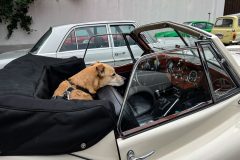 foto-vw-classic-santana-sachsen-classic-2022-37